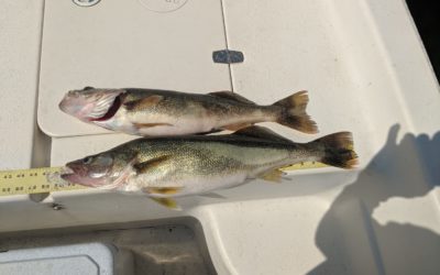 Nov 2022 Carters lake fishing report